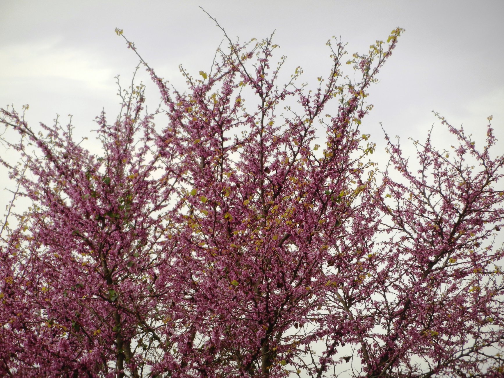 DSCN0571.JPG