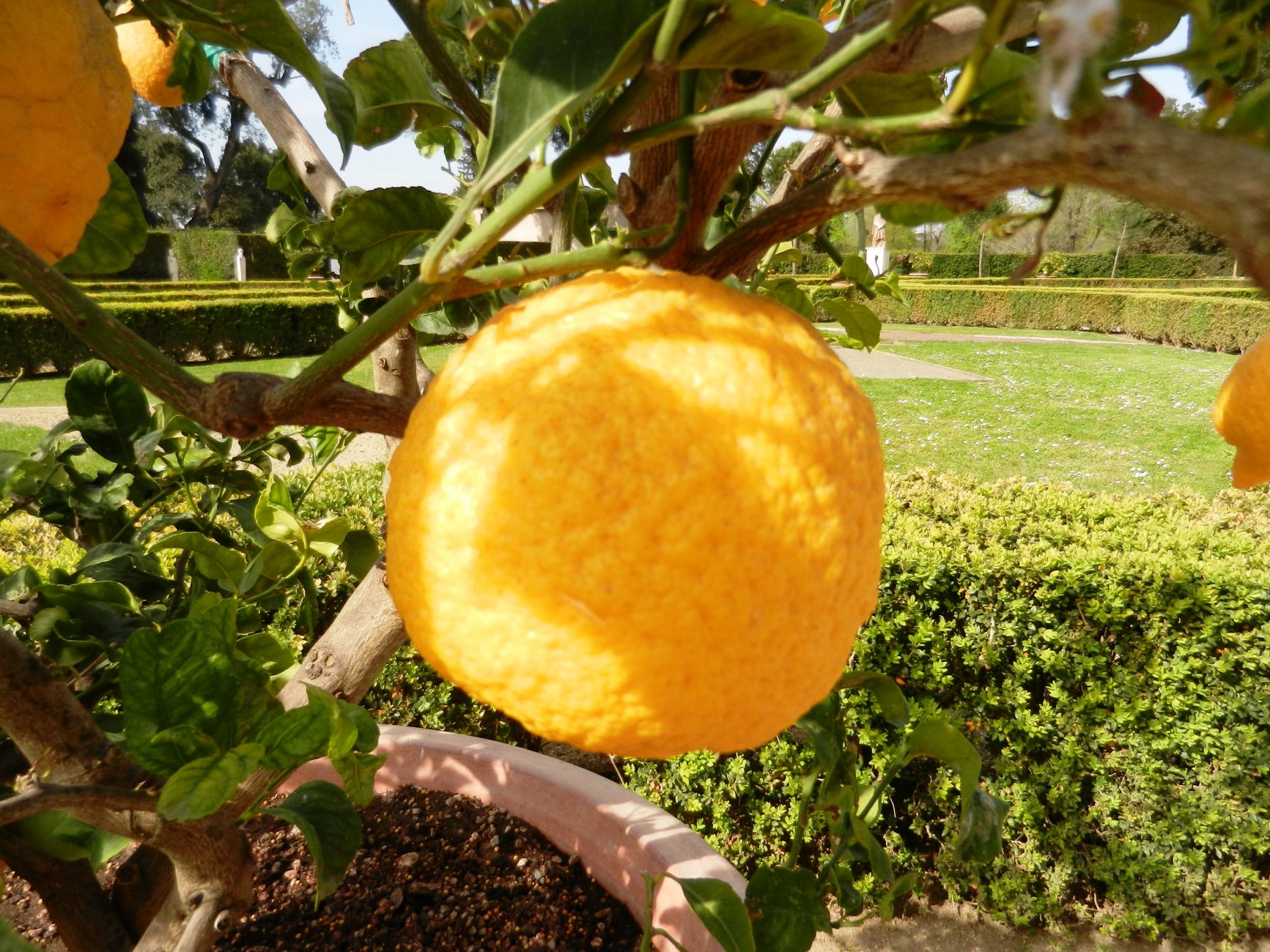DSCN0590.JPG