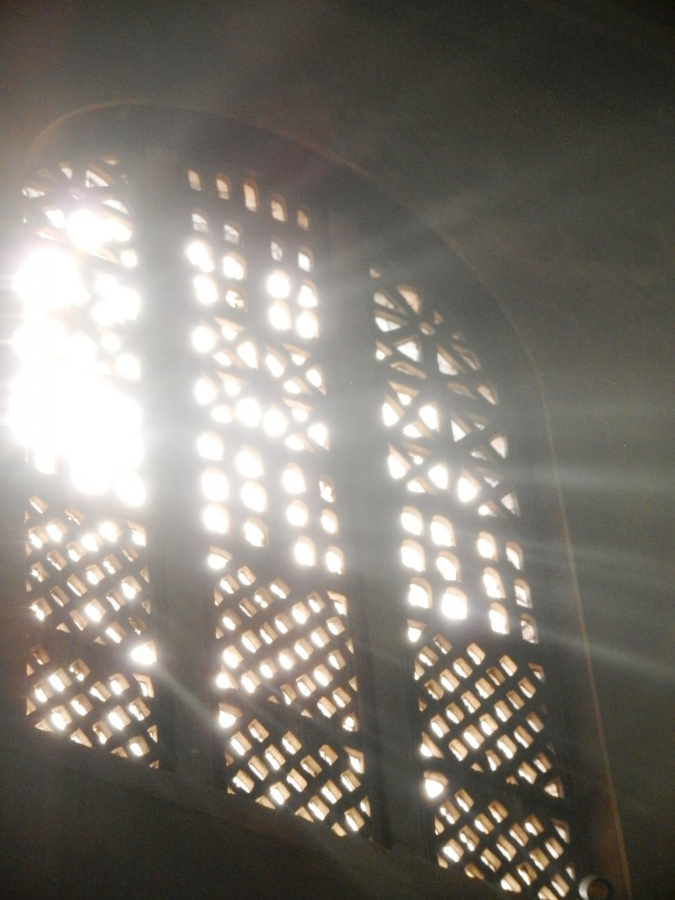 DSCN0691.JPG