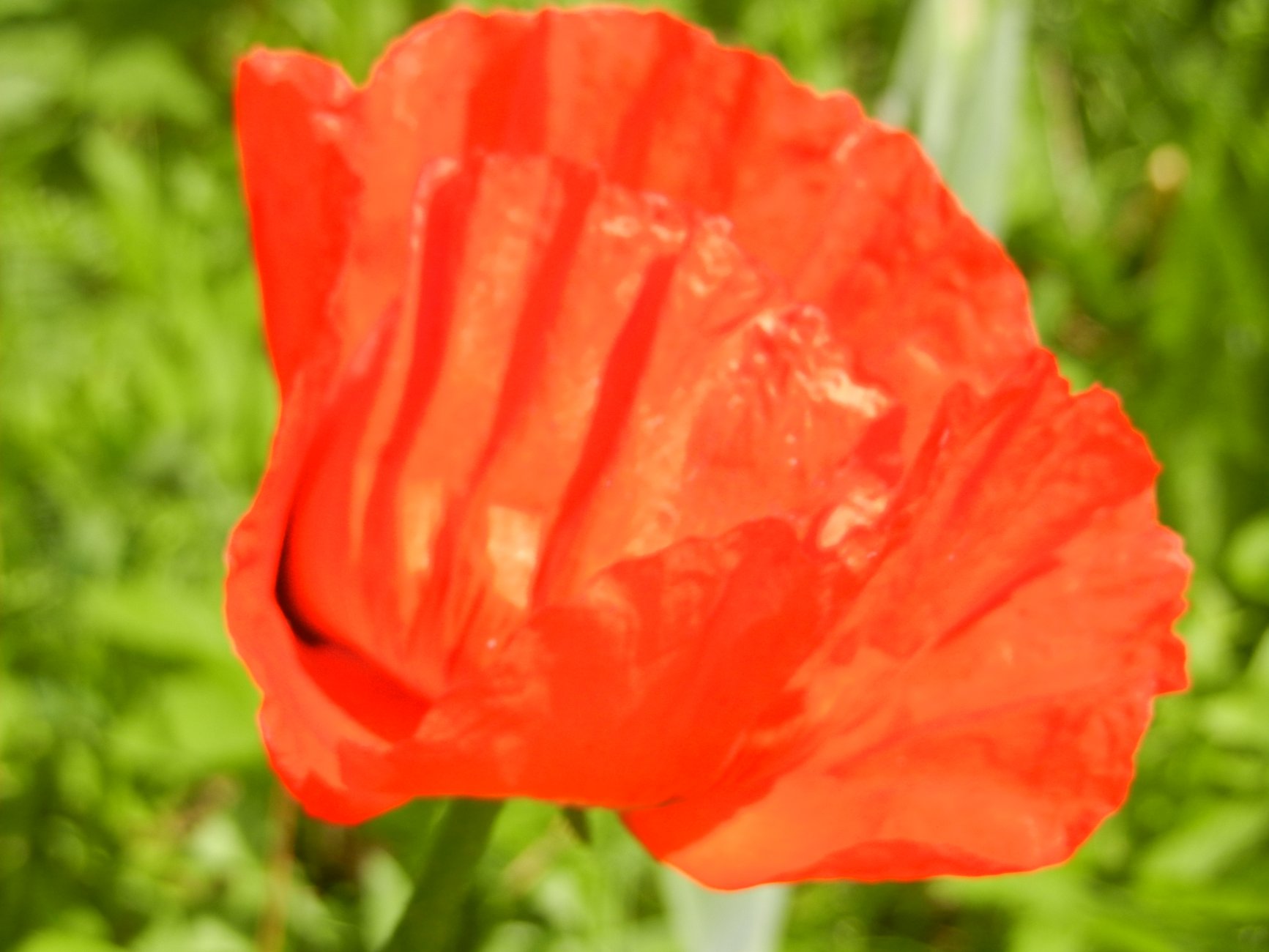 DSCN0868.JPG