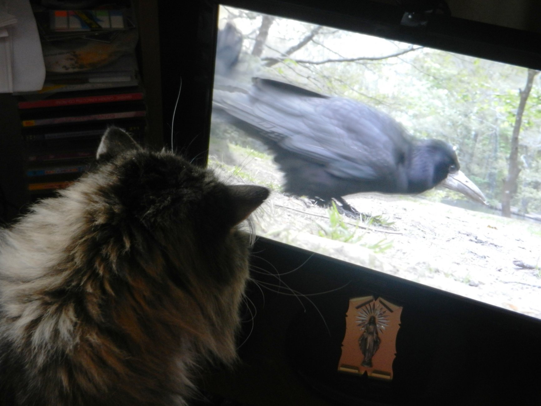 DSCN0907.JPG