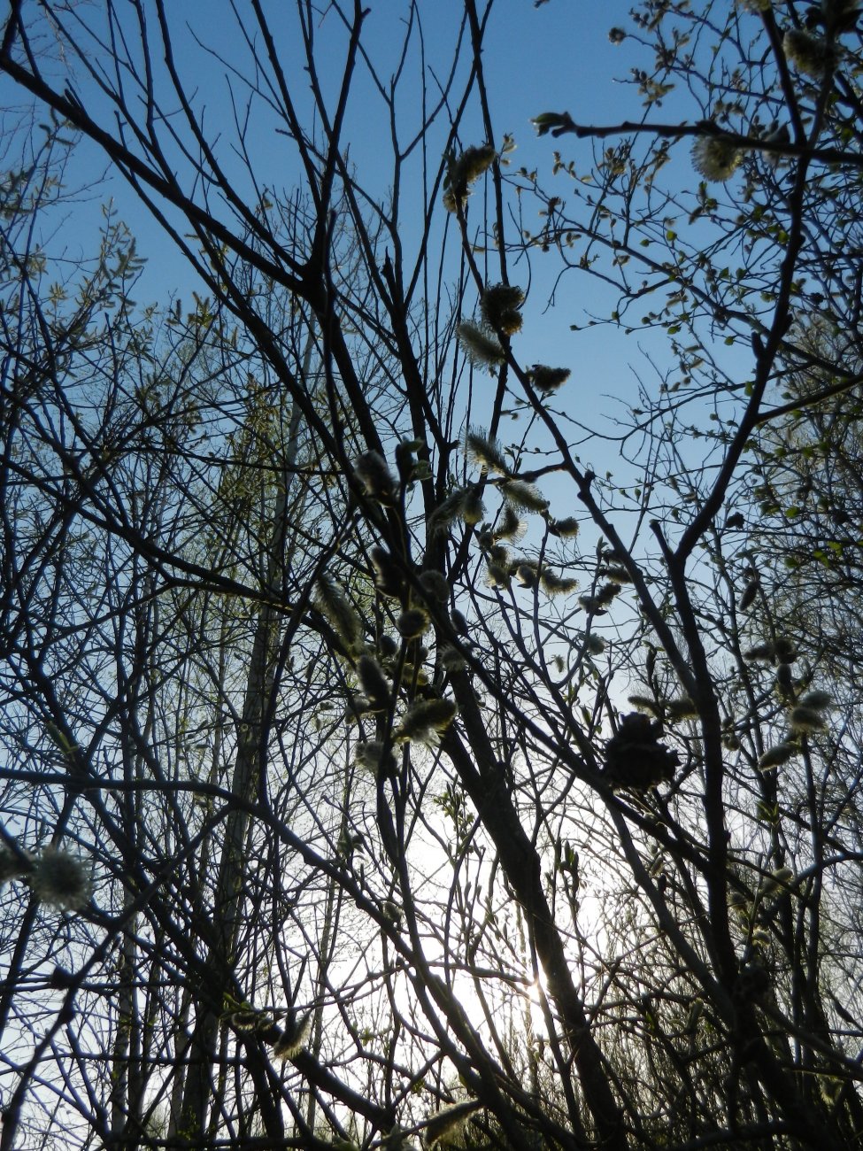 DSCN1081.JPG