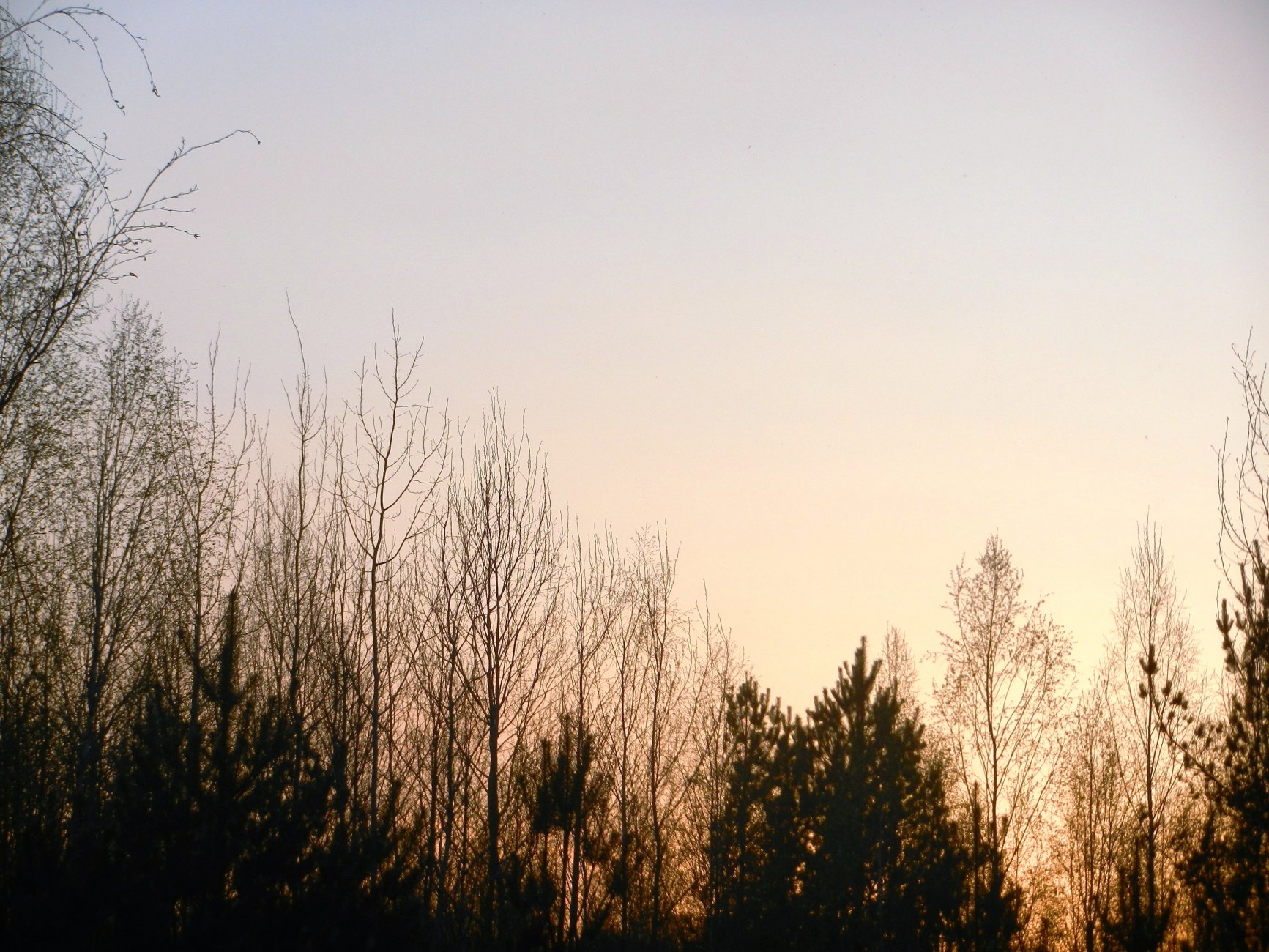 DSCN1145.JPG