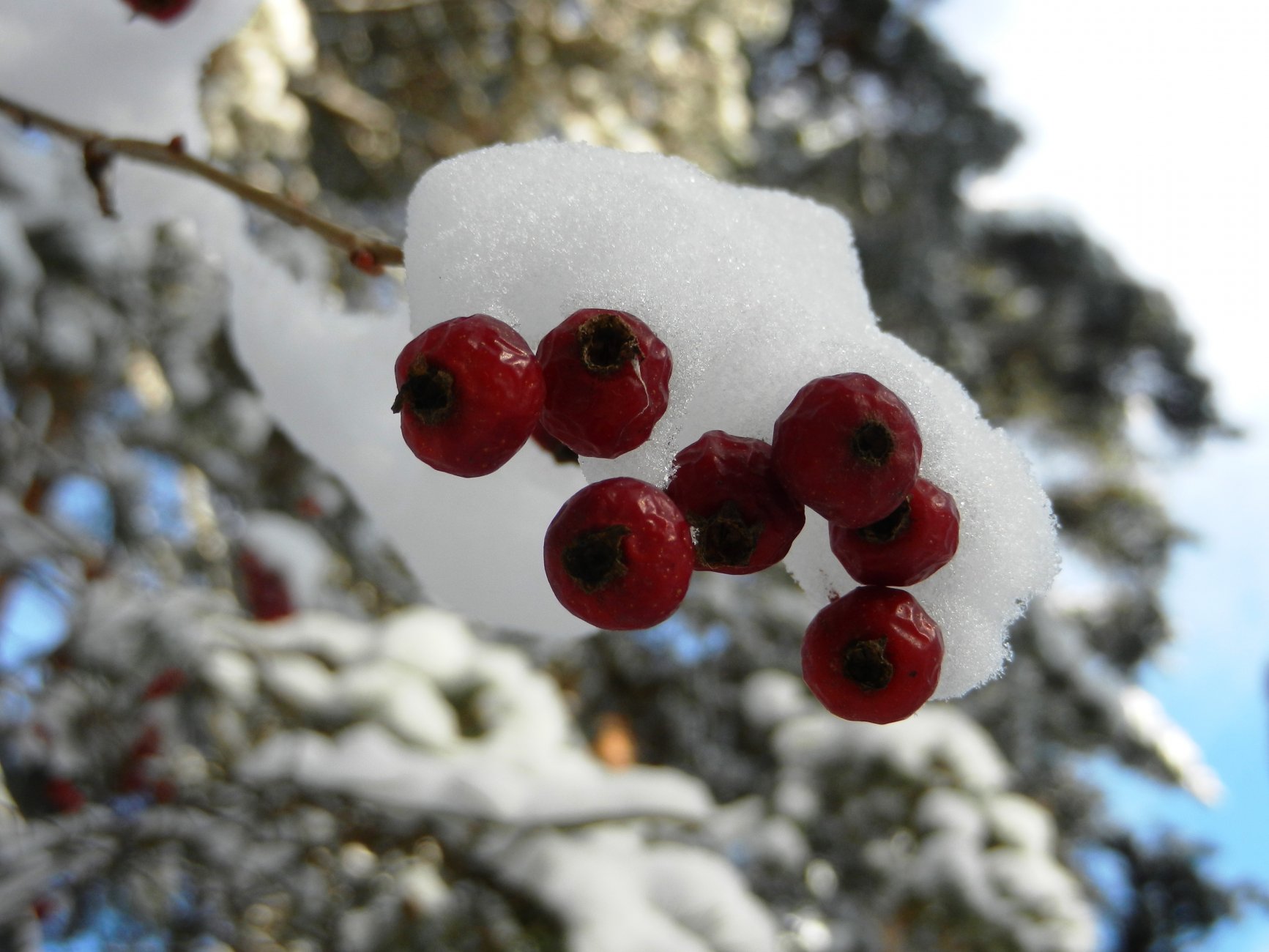 DSCN2530.JPG