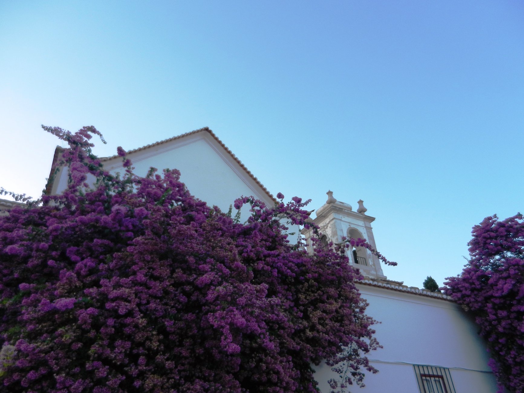 DSCN3242.JPG