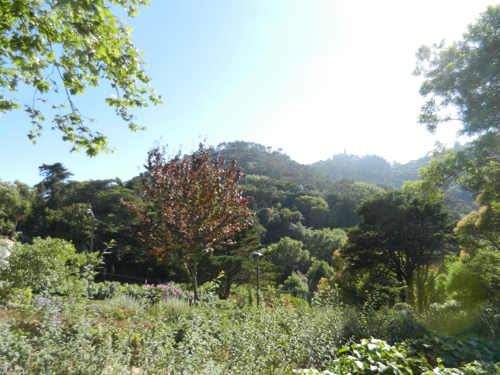 DSCN3295.JPG