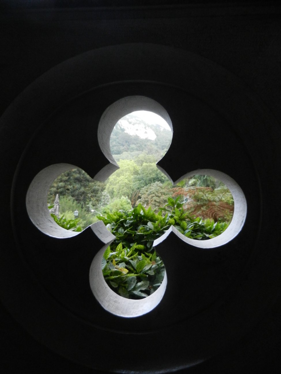 DSCN3440.JPG