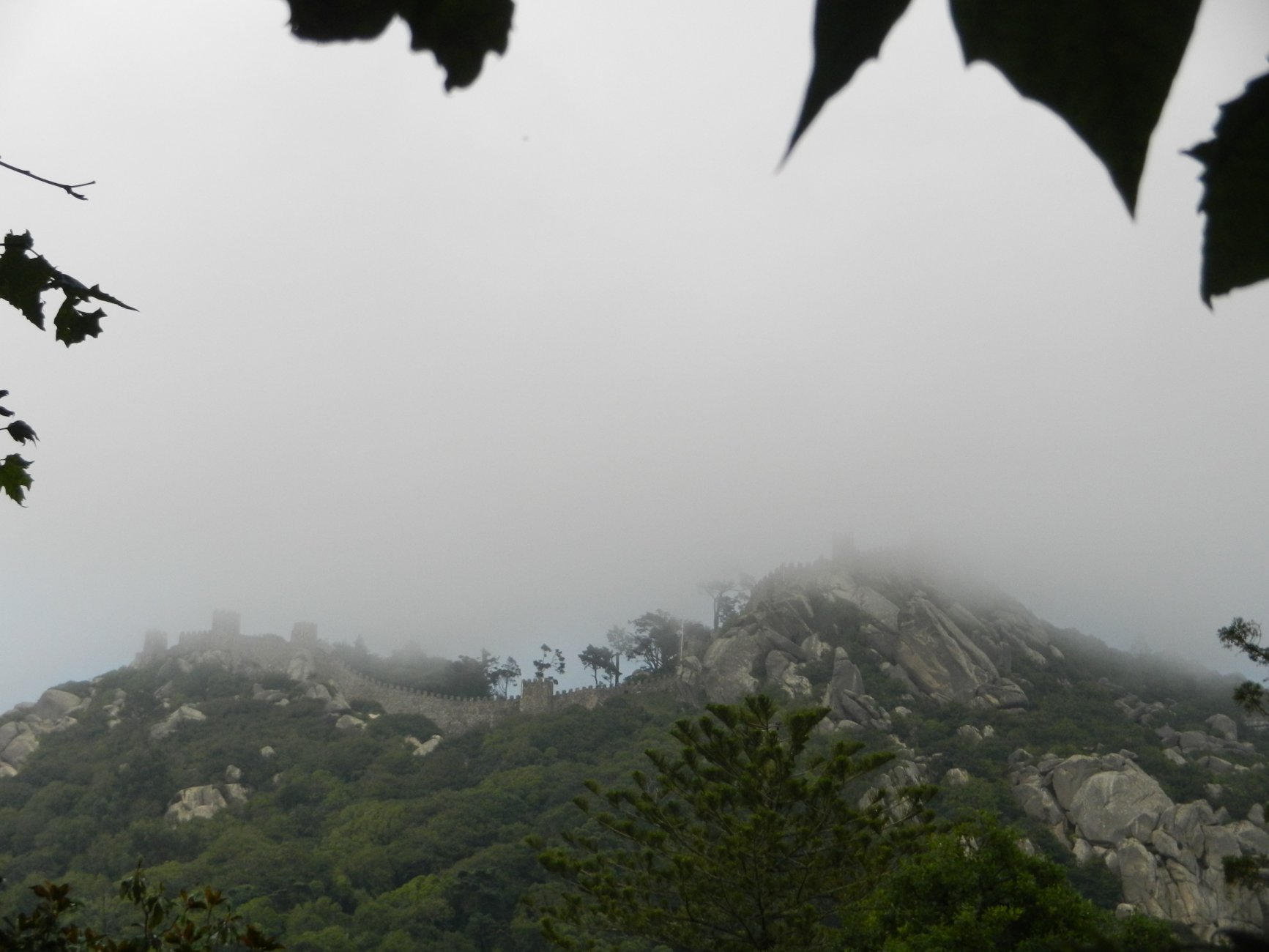 DSCN3451.JPG