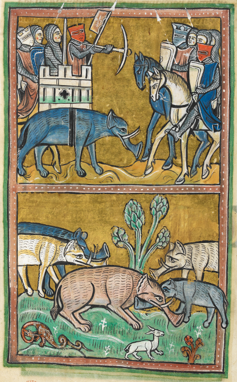Elephants_-_British_Library_Royal_12_F_xiii_f11v_(detail).jpg