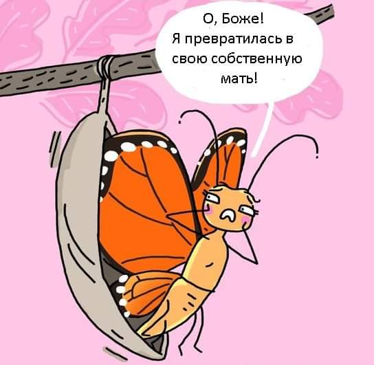 FB_IMG_1603053189791.jpg
