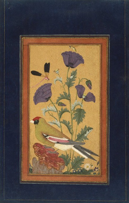 Finch,_Poppies,_Dragonfly,_and_Bee_India_(Deccan,_Golconda).jpg