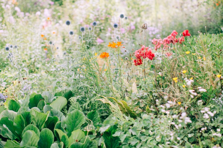 giardino-di-ninfa-1-1.jpg
