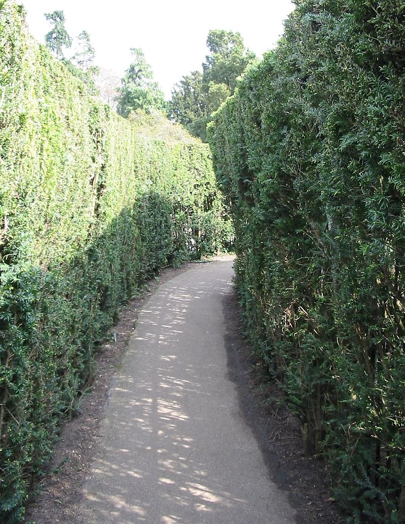 Hampton_Court_Avri_2009_42.jpg