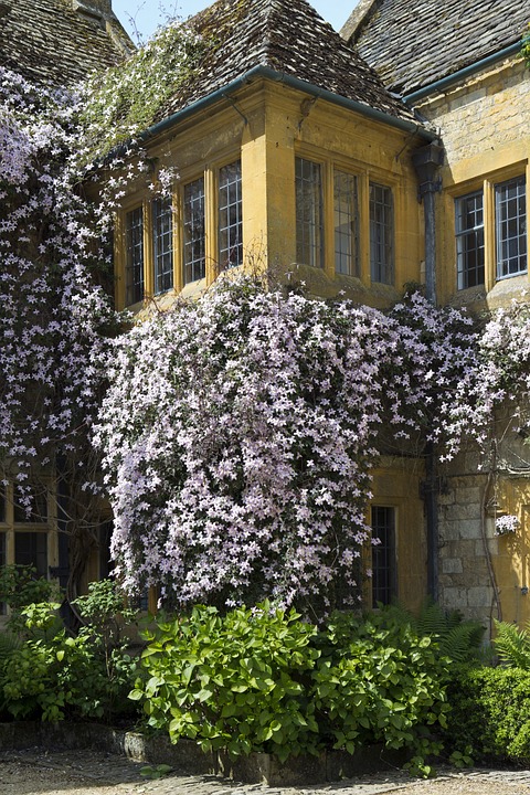 hidcote-manor-804047_960_720.jpg