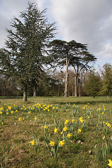 Ickworth_House_gardens_-_geograph.org.uk_-_1221200.jpg