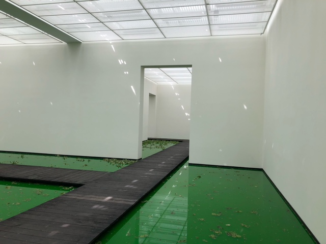 image9.jpeg