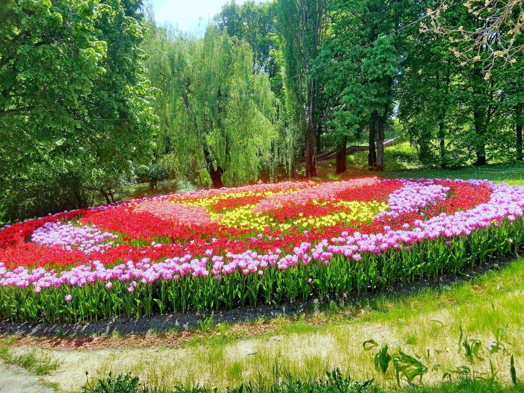 IMG_20170507_122425.jpg