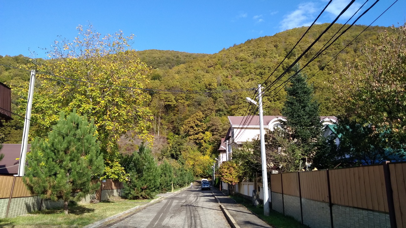 IMG_20201102_113500.jpg
