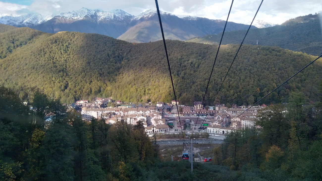 IMG_20201103_150302.jpg