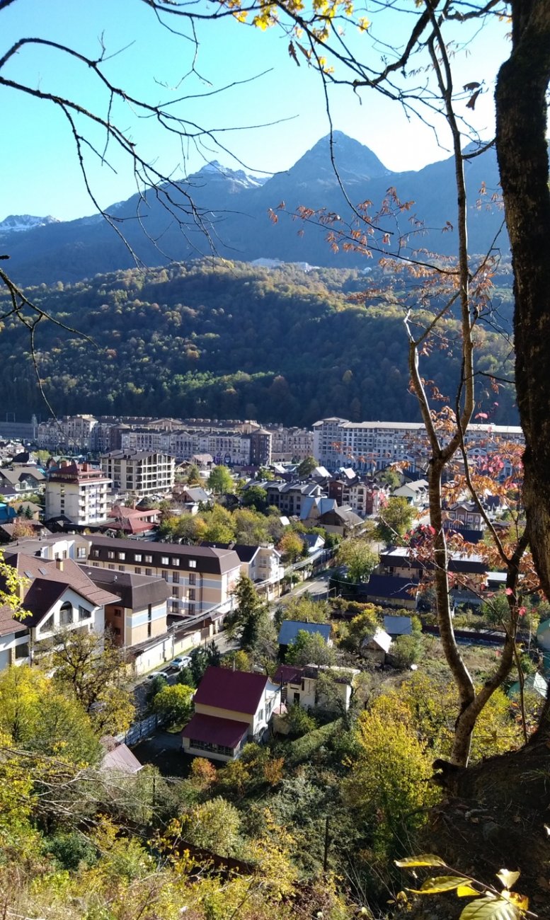 IMG_20201109_141616-01.jpeg