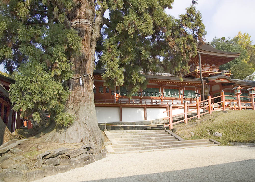 KasugaShrine0395.jpg