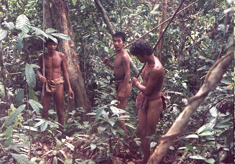 kubu-01-800.jpg