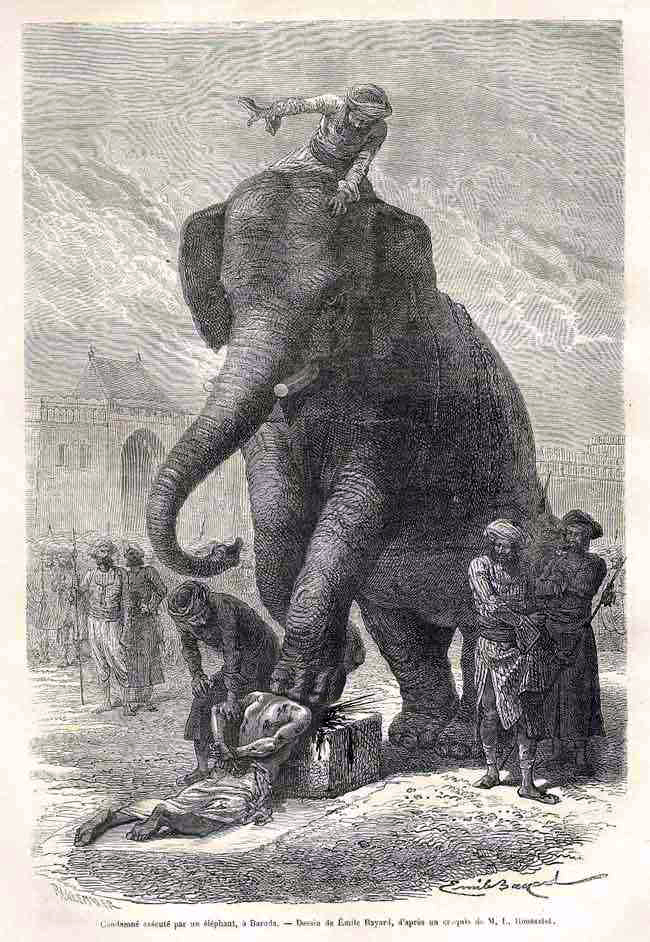 Le_Toru_Du_MOnde.jpg
