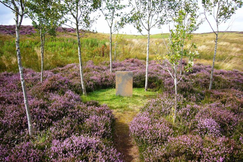 Little_Sparta_-_Grove_above_Lochan_Eck.jpg