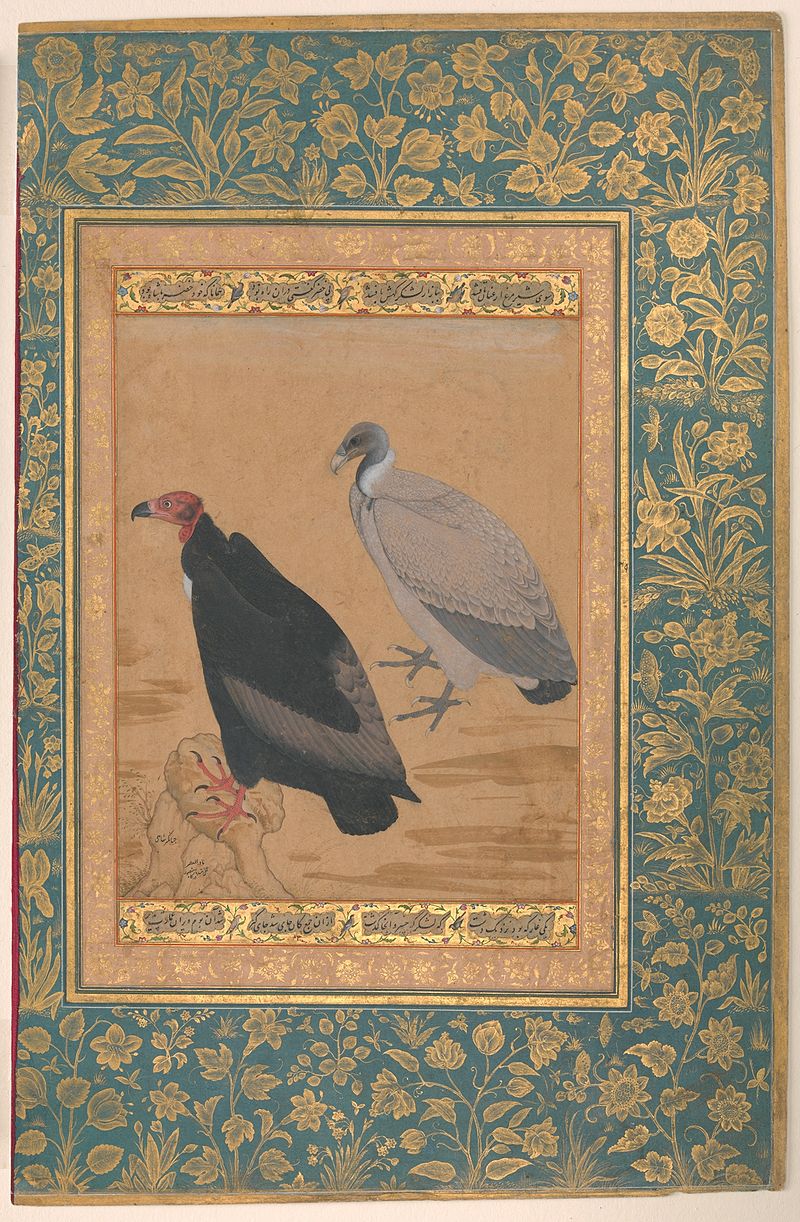 Mansur-16.jpg