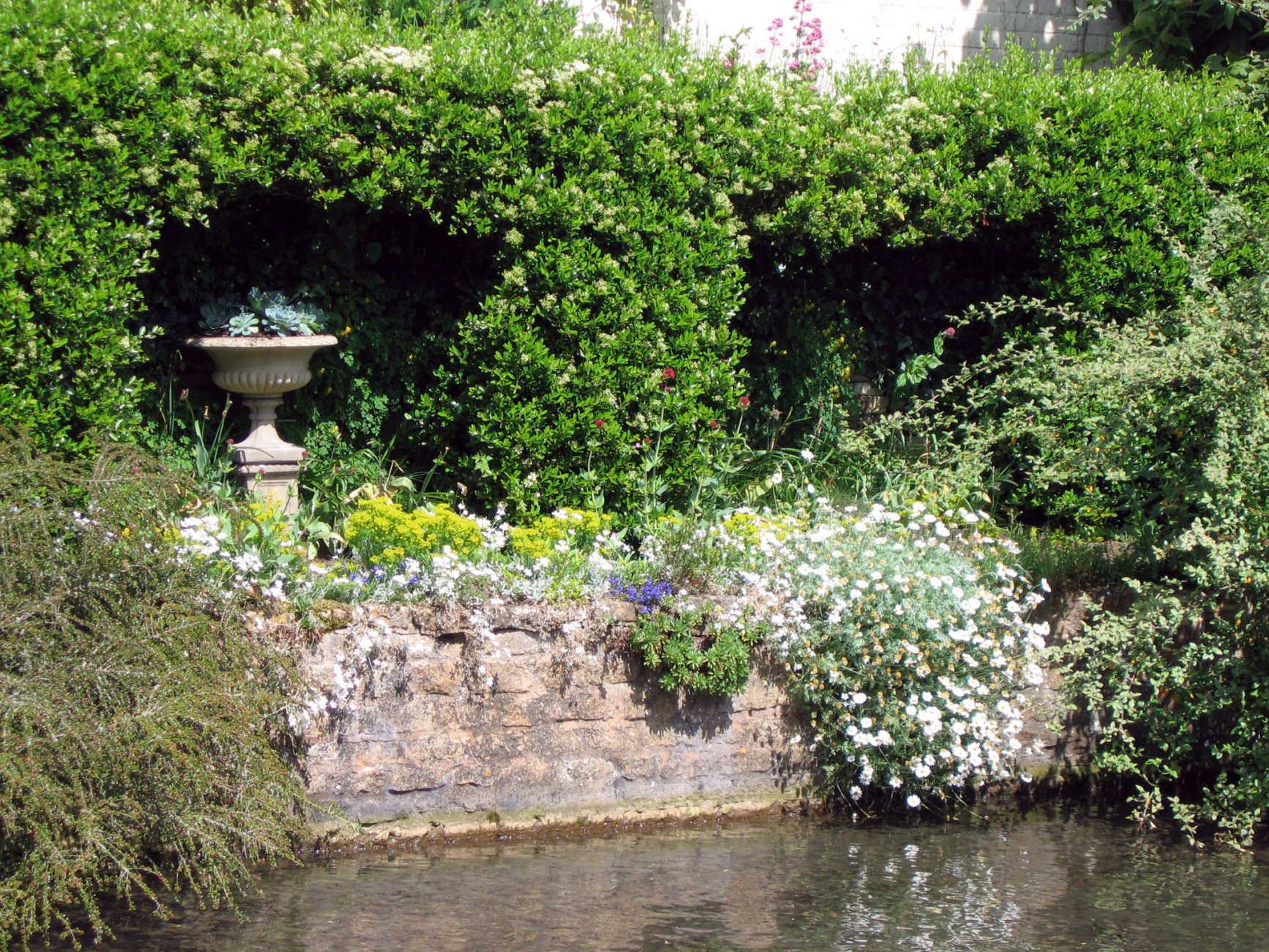 Mill dene hi res 7.jpg