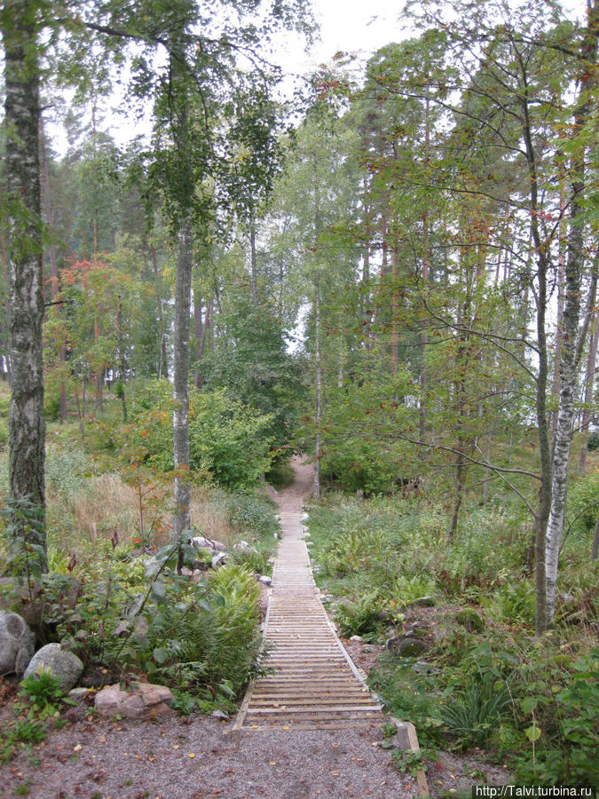 Muzey-usadba-Vittresk (6).jpg