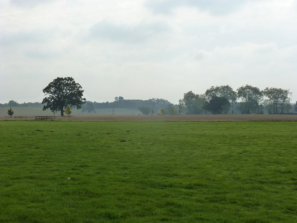 P1060114_Croome_Park_HenSne.JPG