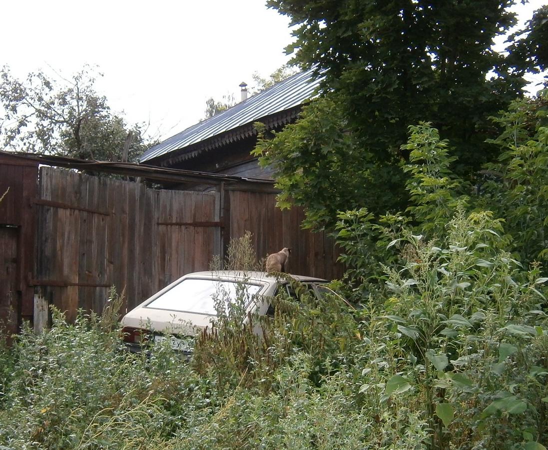 P5100074m.jpg