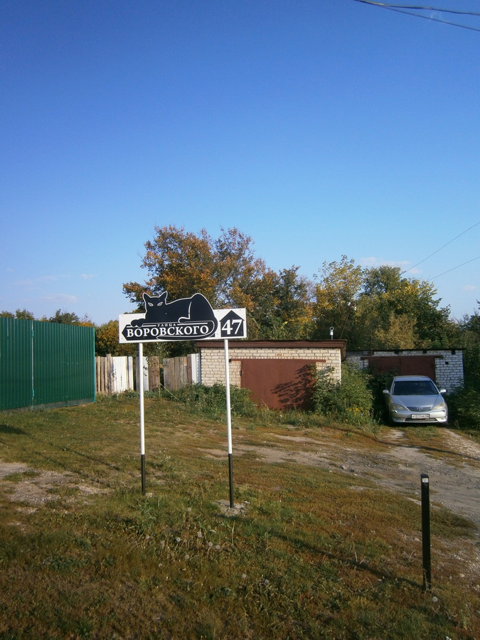 P6155567о.jpg
