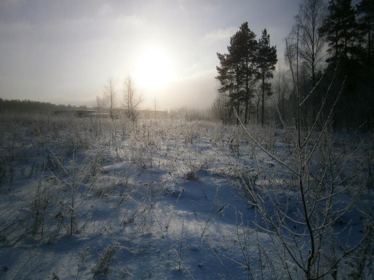 P9152659h.jpg