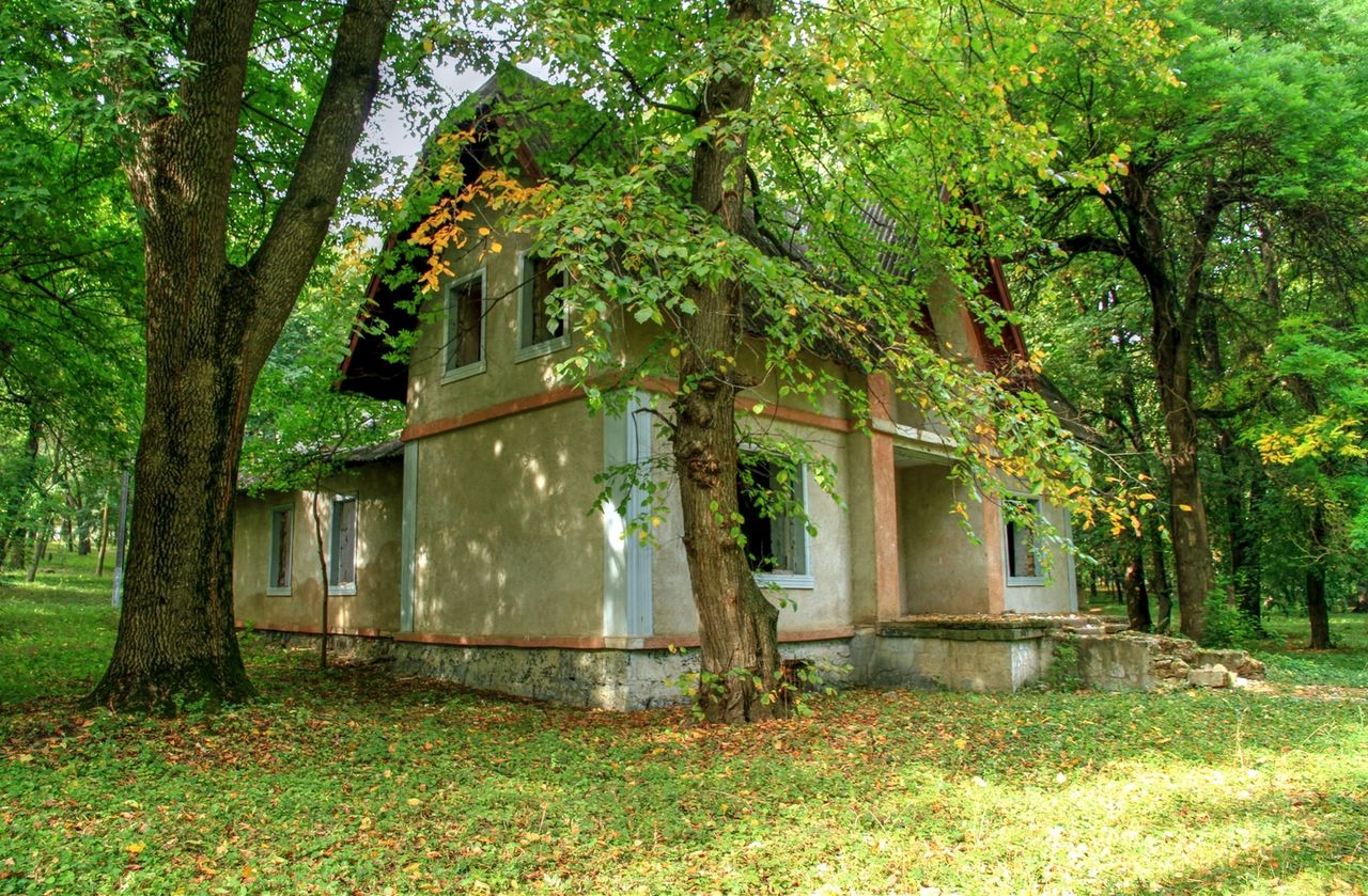 Parc_Temeleuti_Floresti_(6).jpg