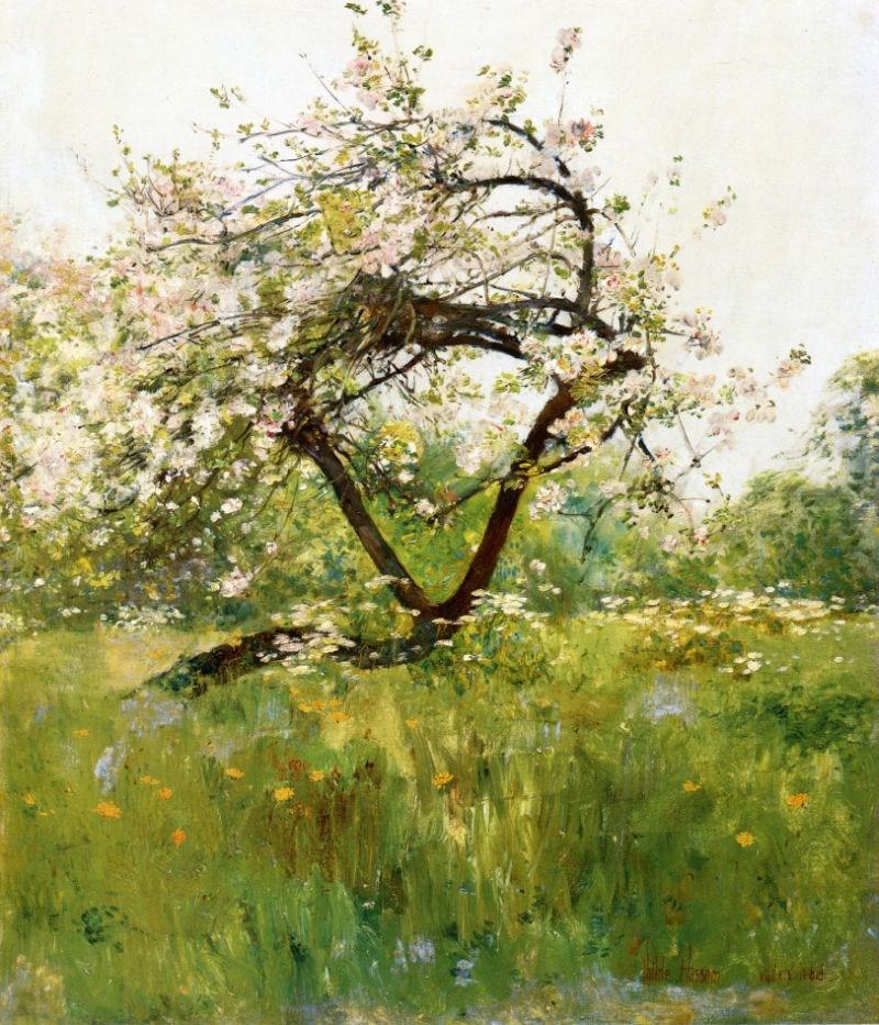Peach Blossoms.jpg