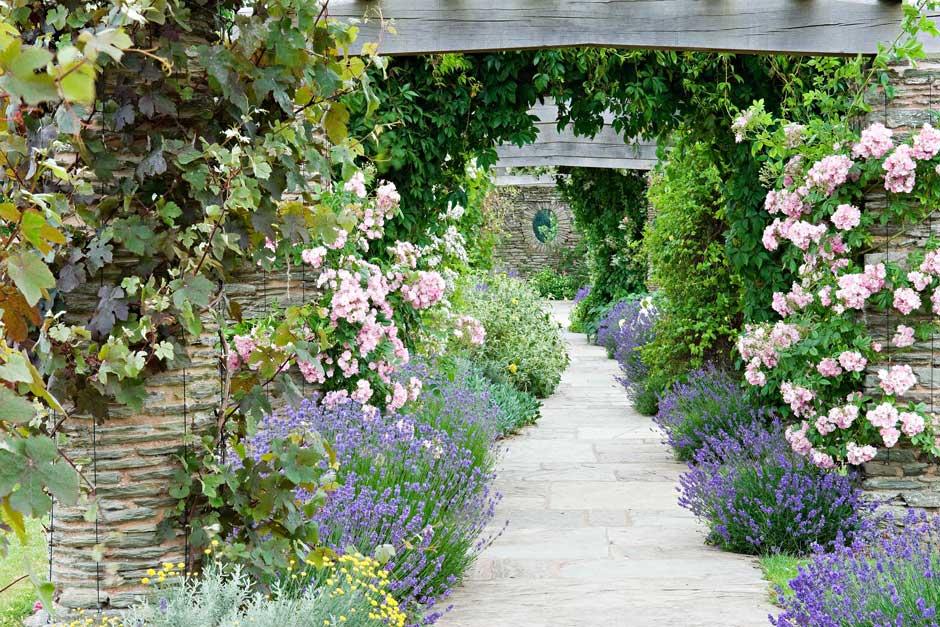 Pergola.jpg