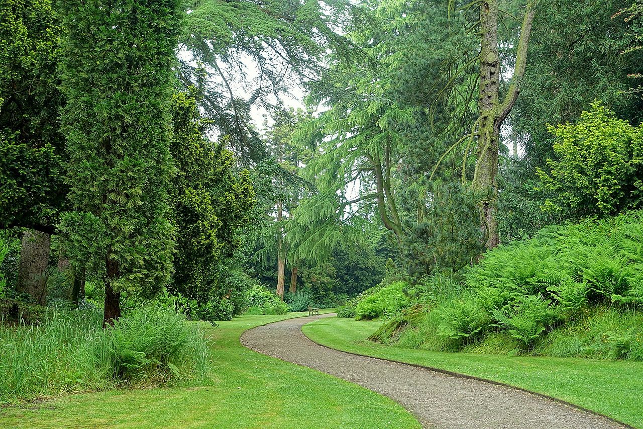 Pinetum_-_Biddulph_Grange_Garden_-_Staffordshire,_England_-_DSC09175 (1).jpg