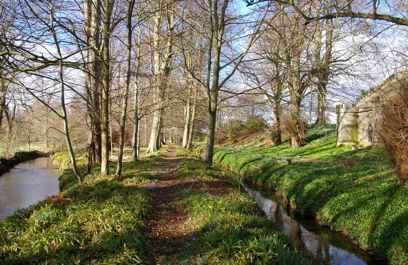 Pitmuies-IMGP2237р.jpg