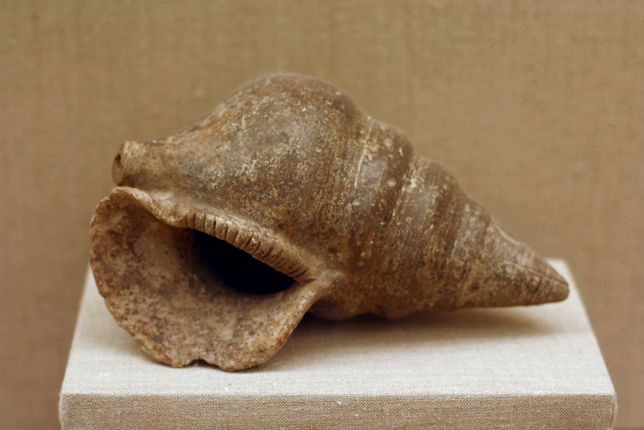 Pottery_rhyton_shape_of_seashells_1700-1600_BC_PMTh_336_0503211.jpg