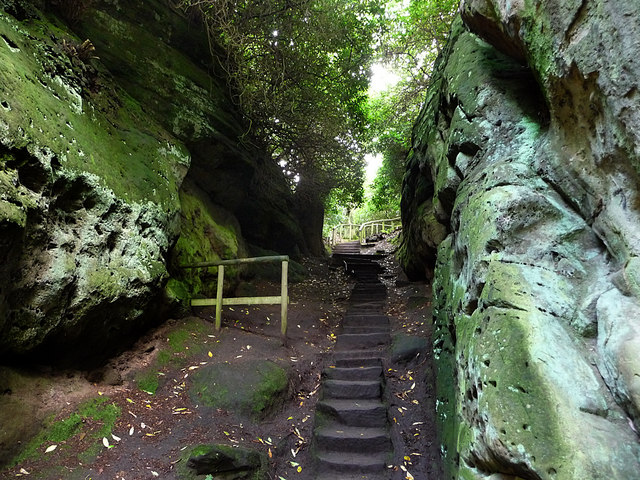 Ravine_at_Hawkstone_Park_-_geograph.org.uk_-_1502265.jpg