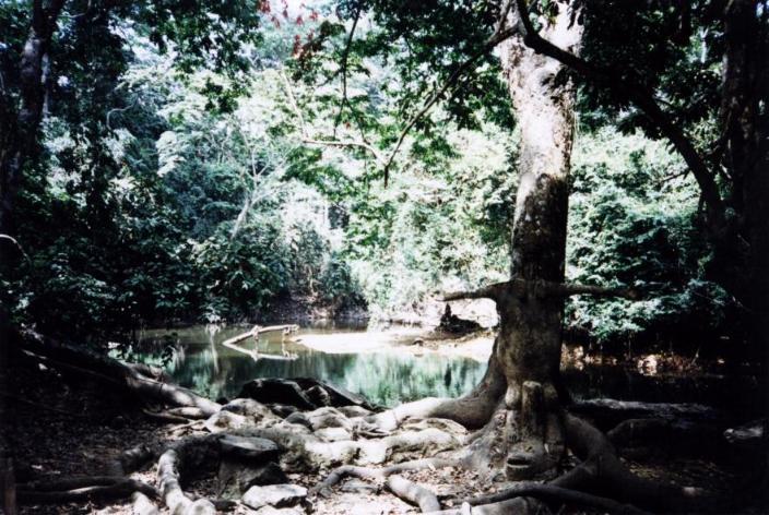 Rio_Osun.jpg