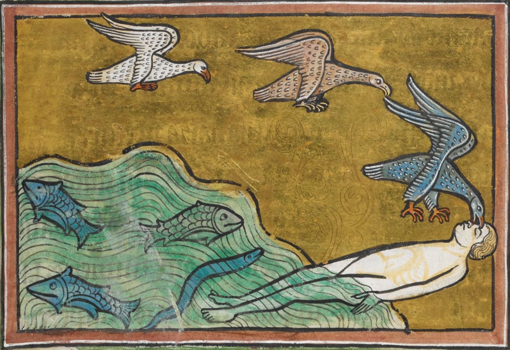 RochesterBestiary_detail_Caladrius.jpg