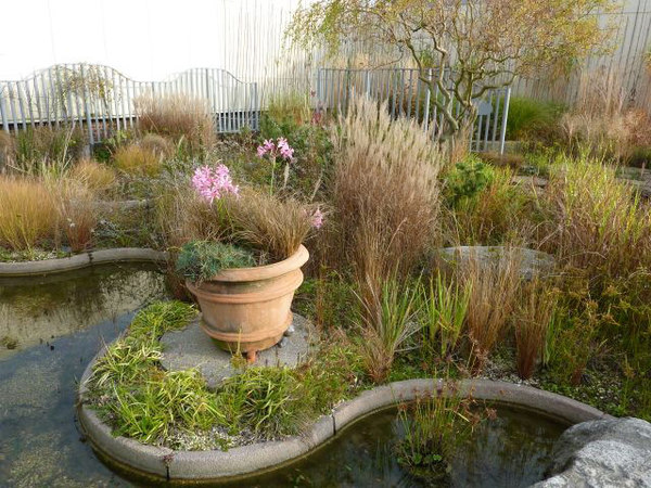 roof_garden_2009_large.jpg