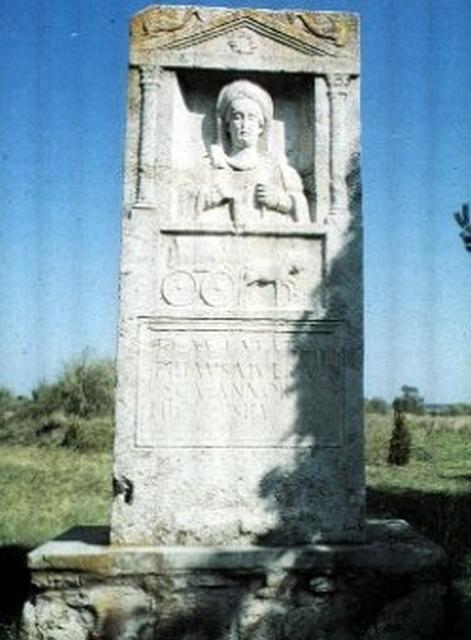 s115.jpg