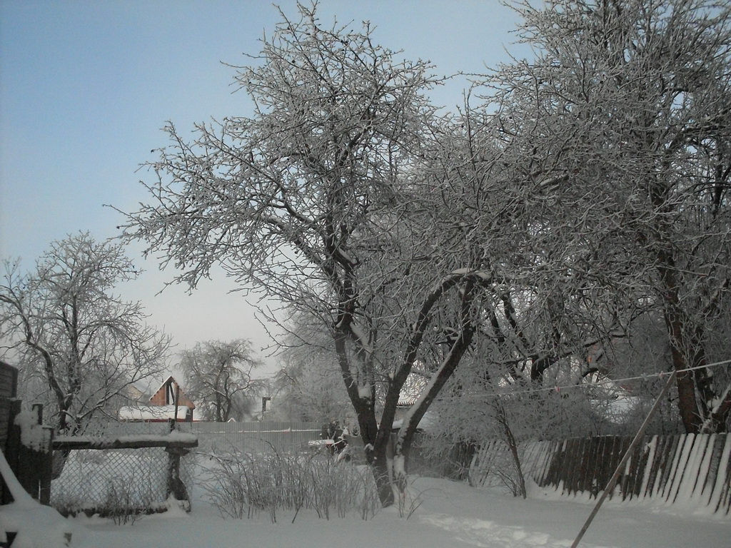 SDC10882.JPG