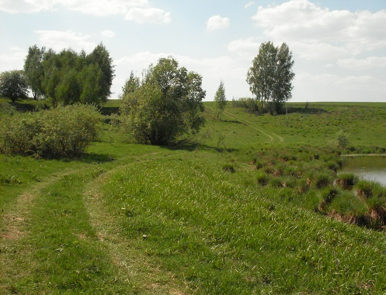 SDC14129_.jpg