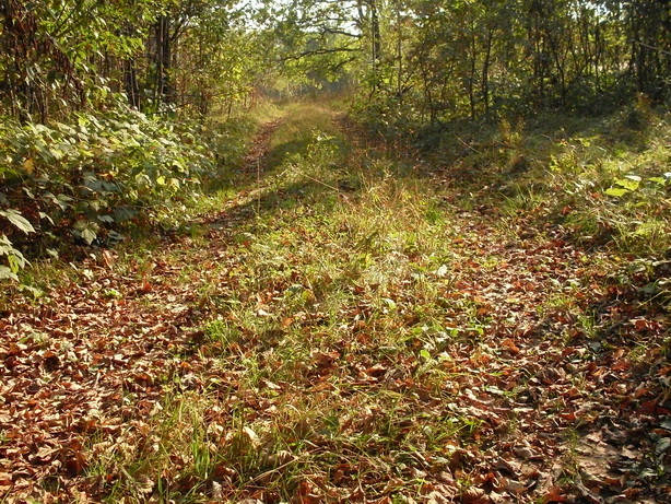 SDC19465_.jpg
