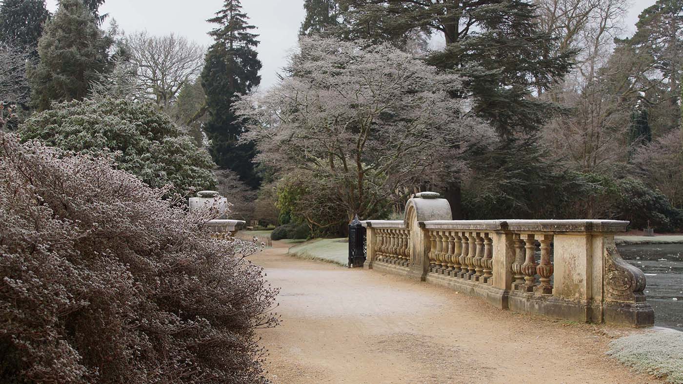 Sheffield Park December 2015 139NEN.jpg